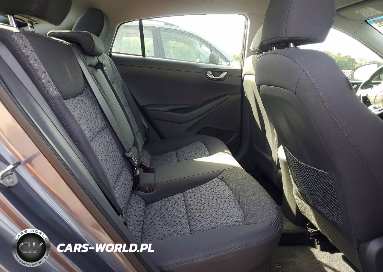2018 Hyundai Ioniq Sel VIN:KMHC75LC4JU065368 - 10