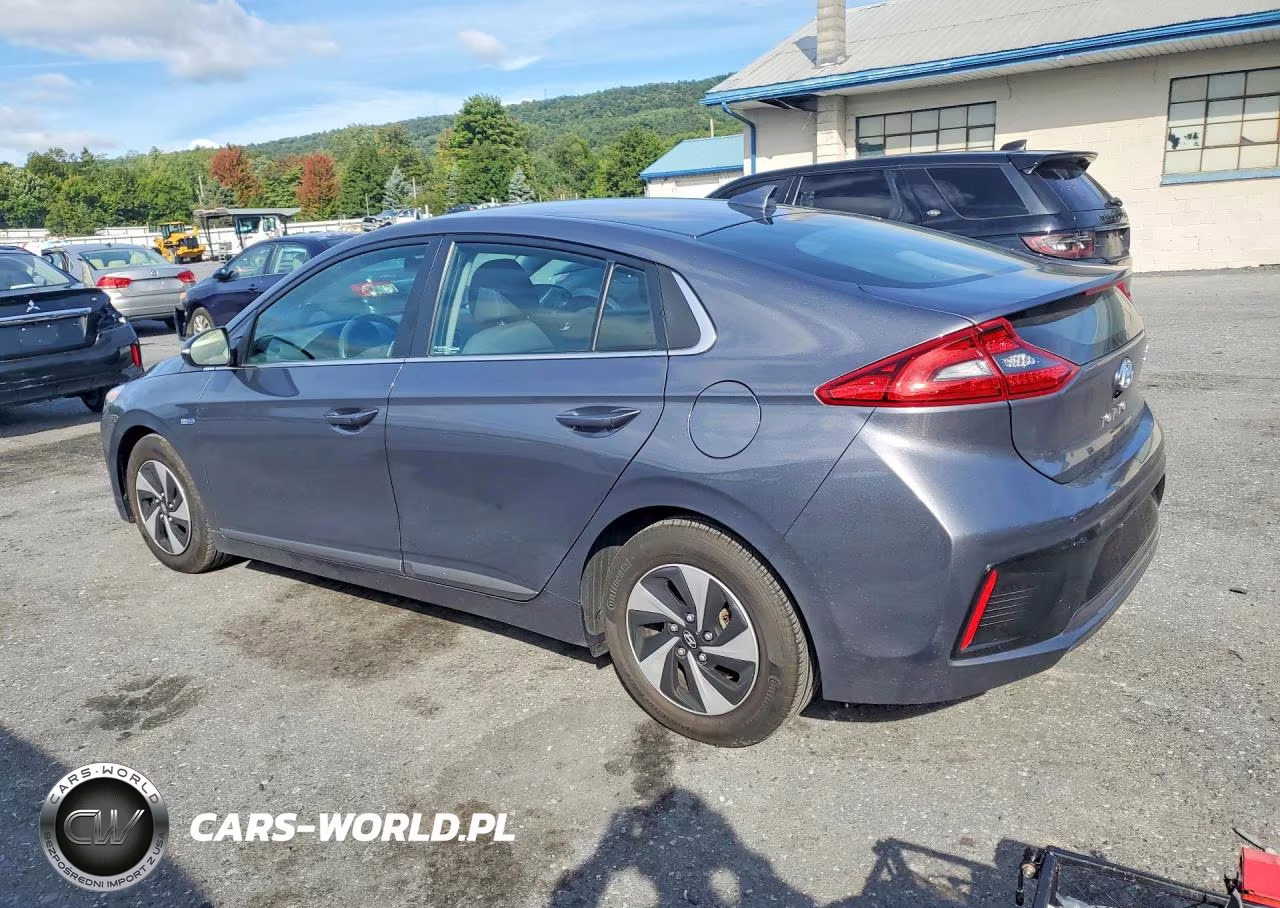 2018 Hyundai Ioniq Sel VIN:KMHC75LC4JU065368 - 2