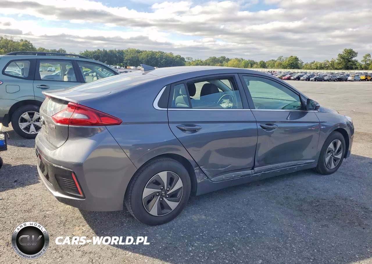 2018 Hyundai Ioniq Sel VIN:KMHC75LC4JU065368 - 3