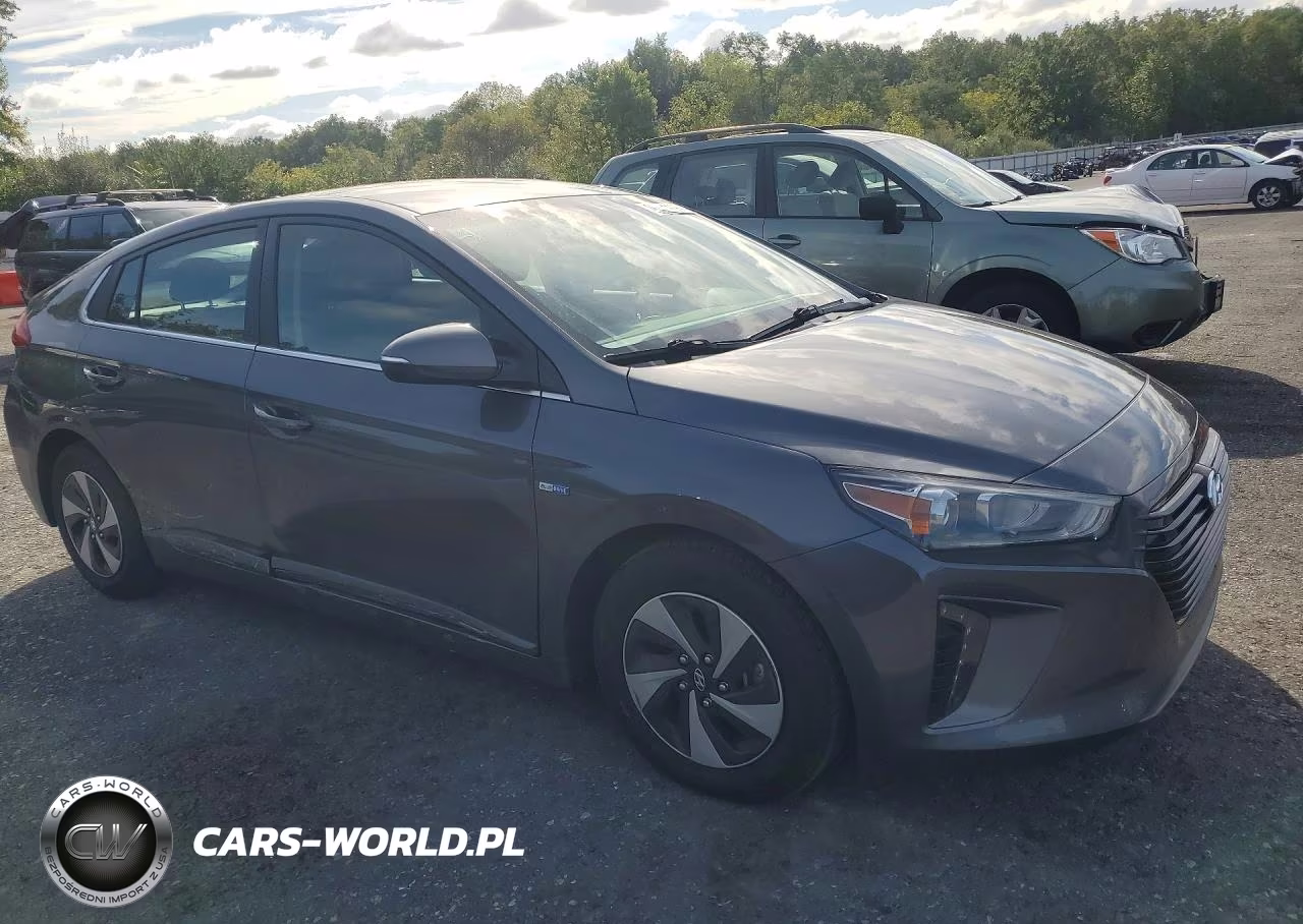 2018 Hyundai Ioniq Sel VIN:KMHC75LC4JU065368 - 4
