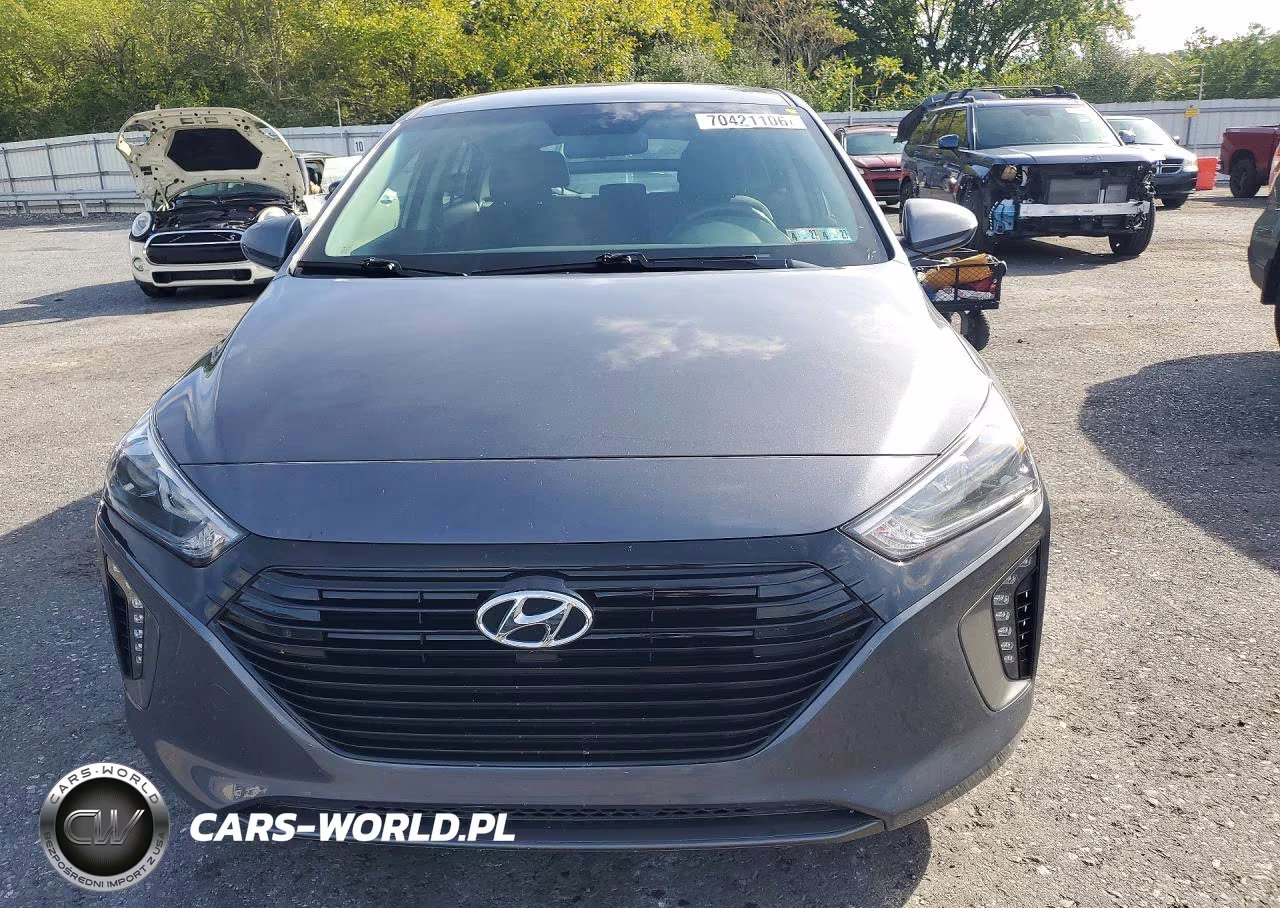 2018 Hyundai Ioniq Sel VIN:KMHC75LC4JU065368 - 5