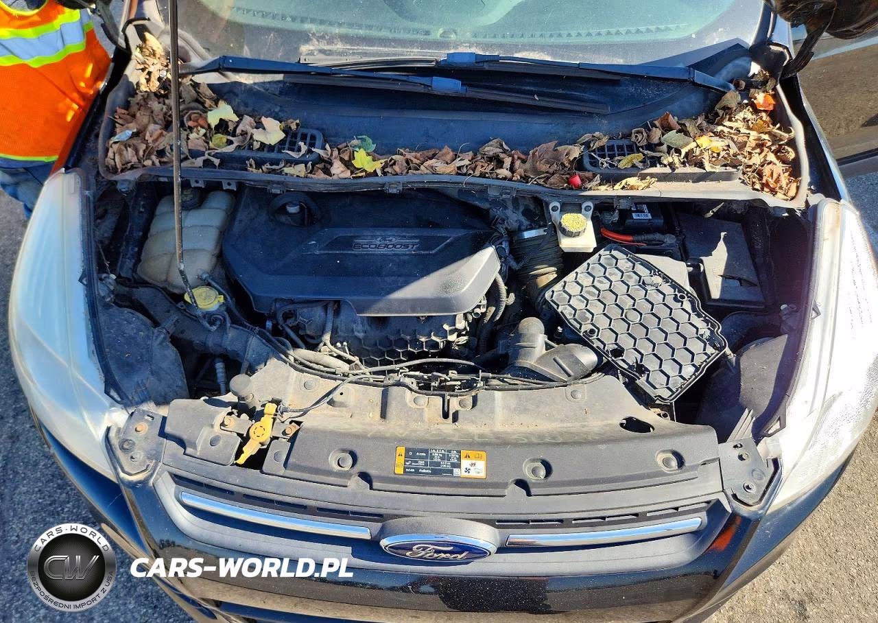 2016 Ford Escape Se VIN:1FMCU9G9XGUA48470 - 12