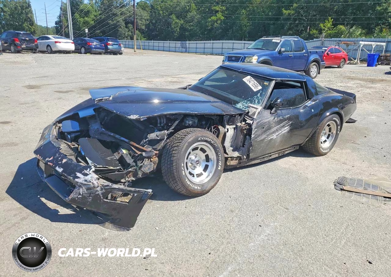 1981 Chevrolet Corvette VIN:1G1AY8763BS408241 - 1