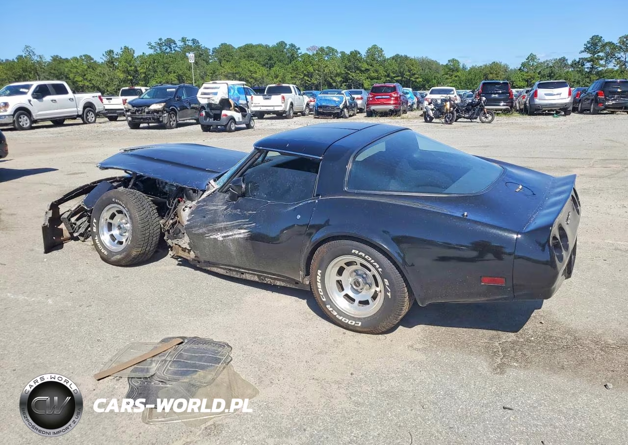 1981 Chevrolet Corvette VIN:1G1AY8763BS408241 - 2