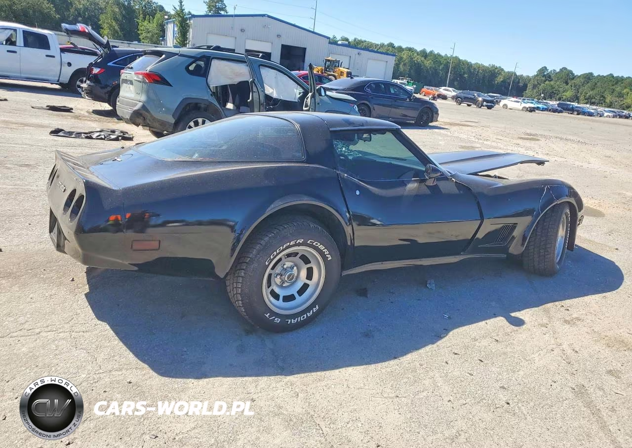 1981 Chevrolet Corvette VIN:1G1AY8763BS408241 - 3