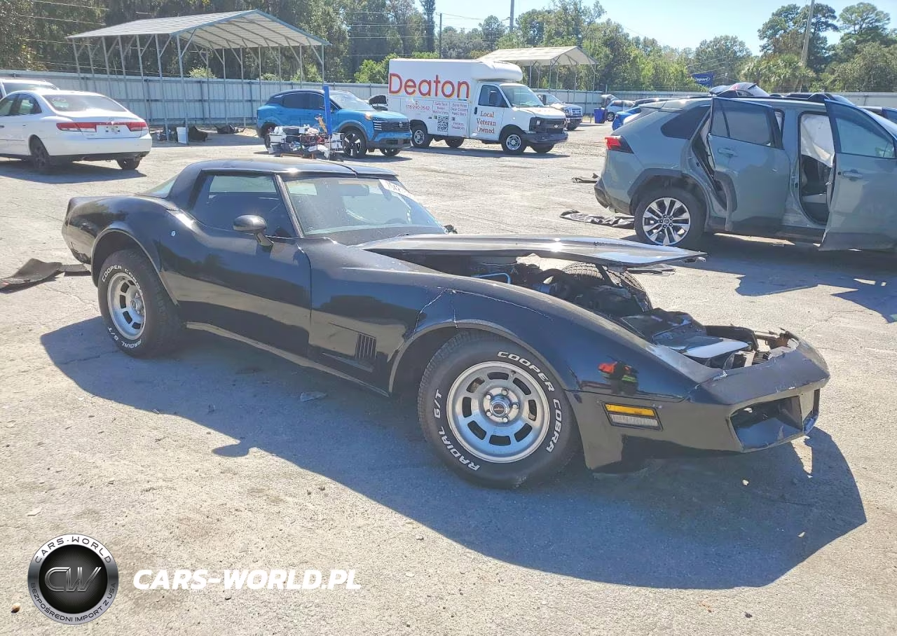 1981 Chevrolet Corvette VIN:1G1AY8763BS408241 - 4