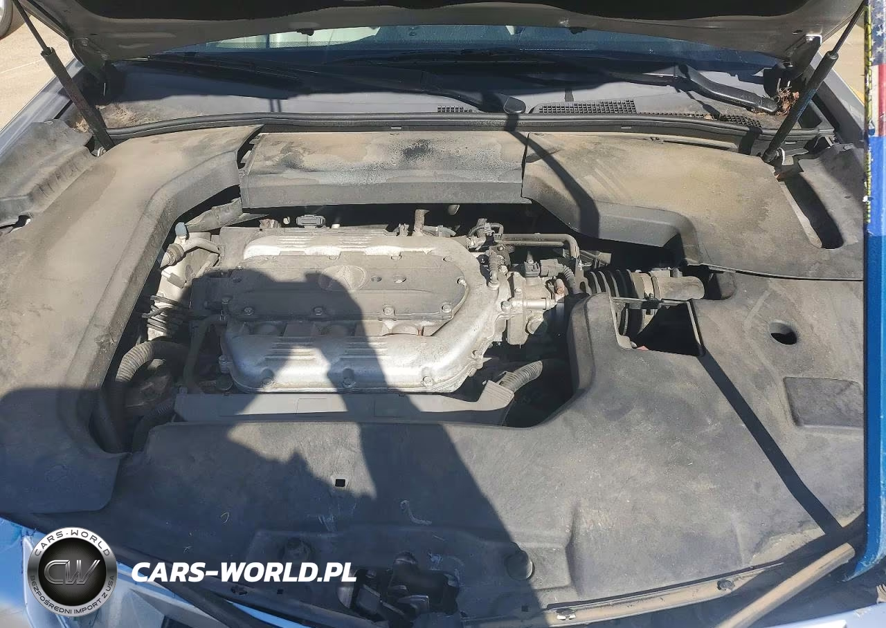 2009 Acura Tl VIN:19UUA86559A026411 - 11