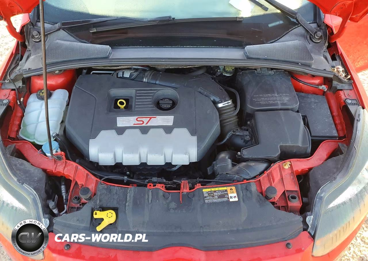 2014 Ford Focus St 4D Hatchbac VIN:1FADP3L9XEL149908 - 11