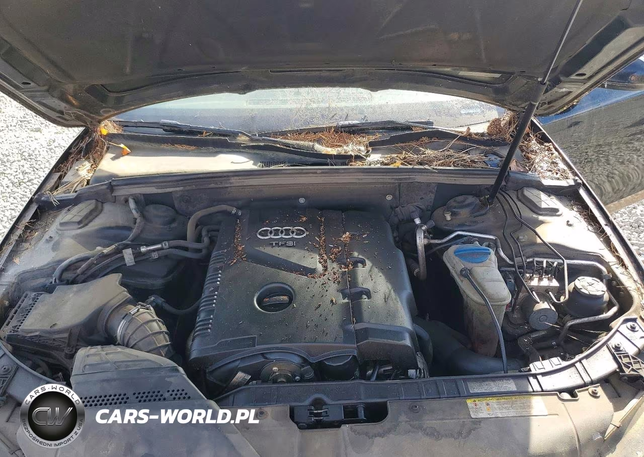 2012 Audi A4 Premium Plus VIN:WAUWFAFL6CA112152 - 12