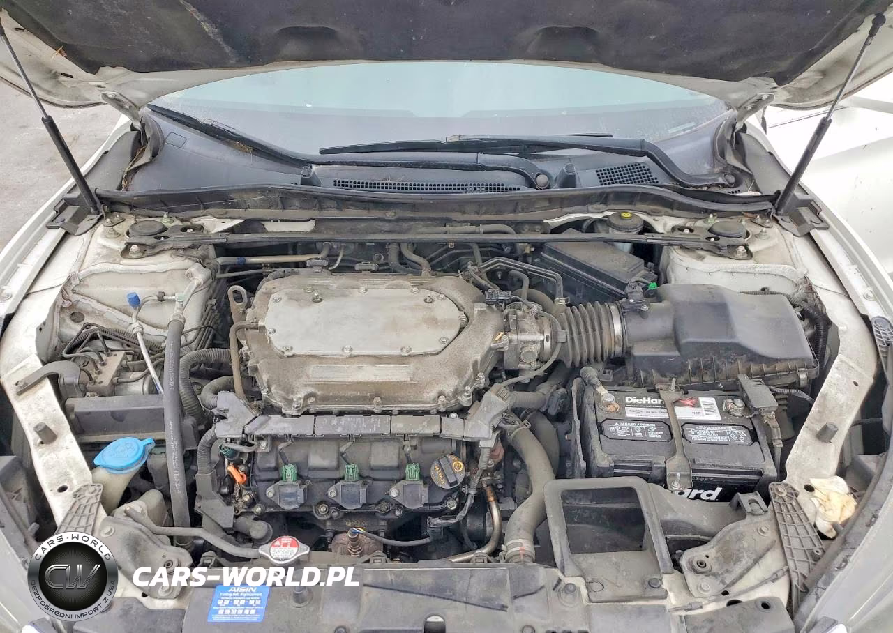 2013 Honda Accord Exl VIN:1HGCR3F87DA010527 - 11