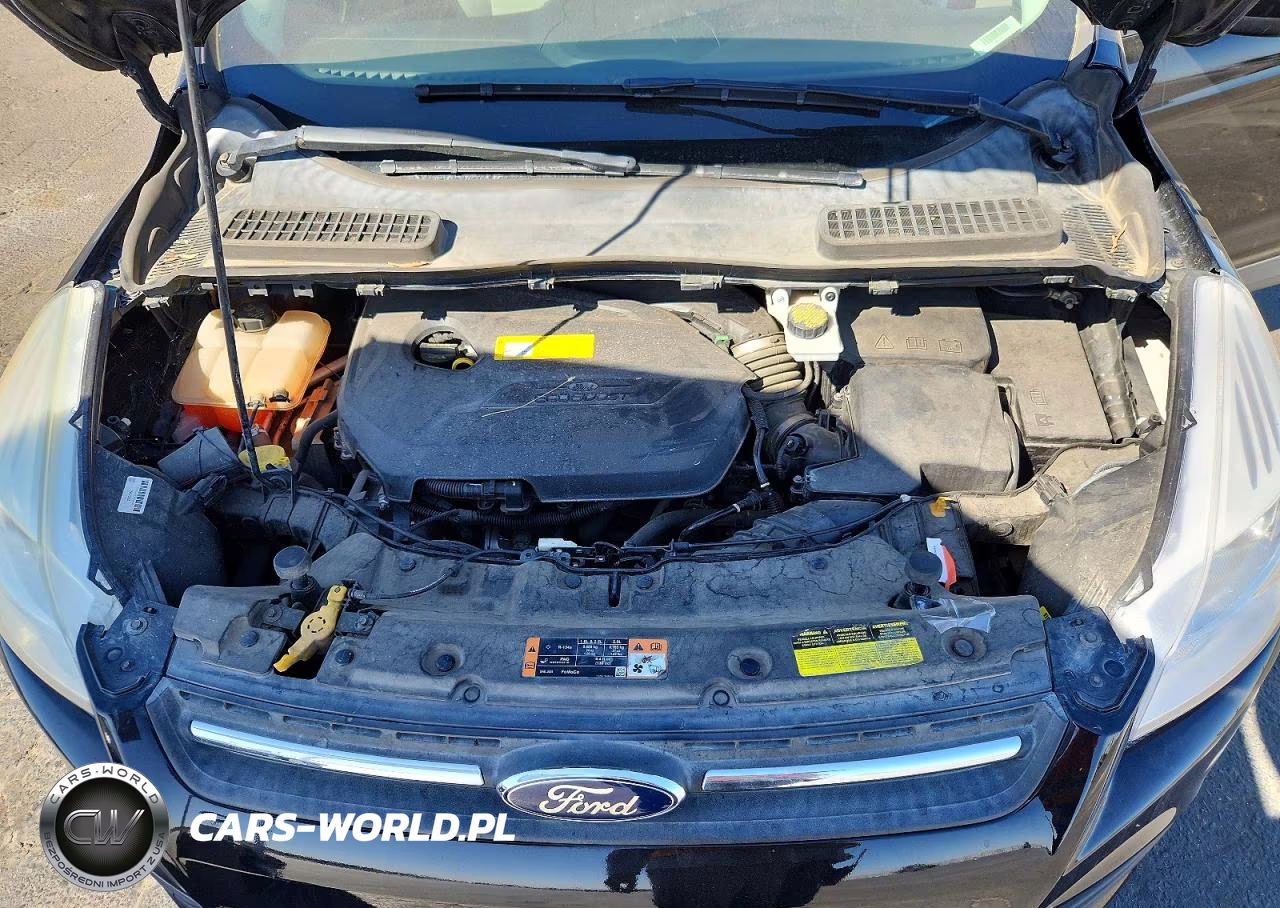 2016 Ford Escape Se VIN:1FMCU0GX3GUA76444 - 11