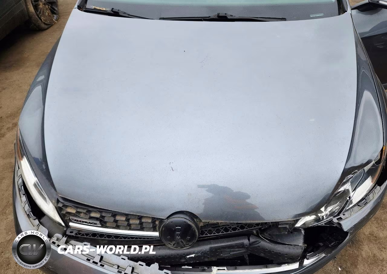 2017 Volkswagen Golf Alltrack S VIN:3VWH17AU1HM510714 - 11