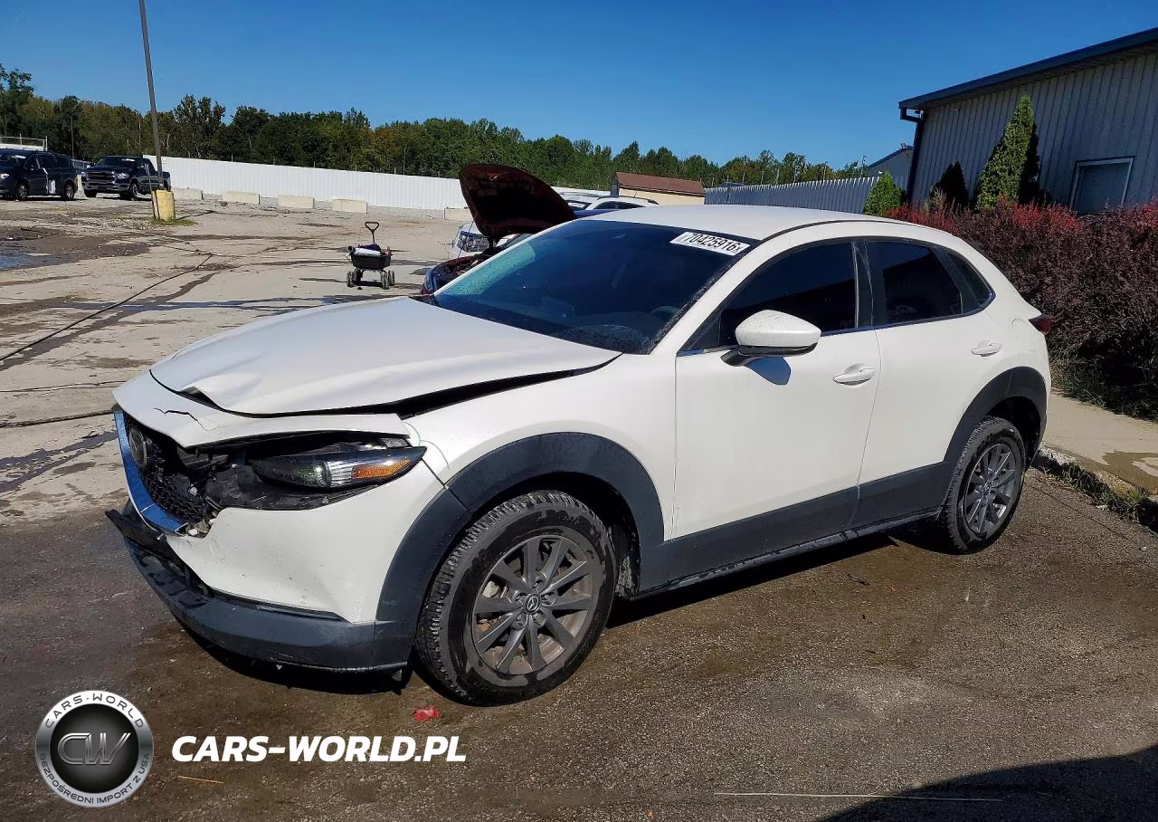 2021 Mazda Cx-30 VIN:3MVDMBAL0MM228138 - 1