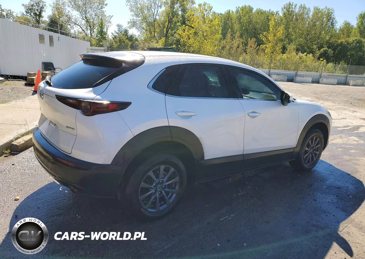 2021 Mazda Cx-30 VIN:3MVDMBAL0MM228138 - 3