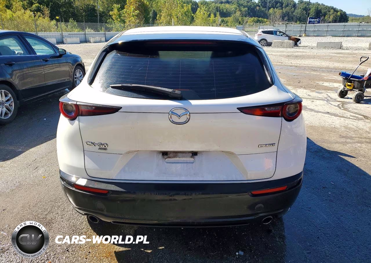 2021 Mazda Cx-30 VIN:3MVDMBAL0MM228138 - 6