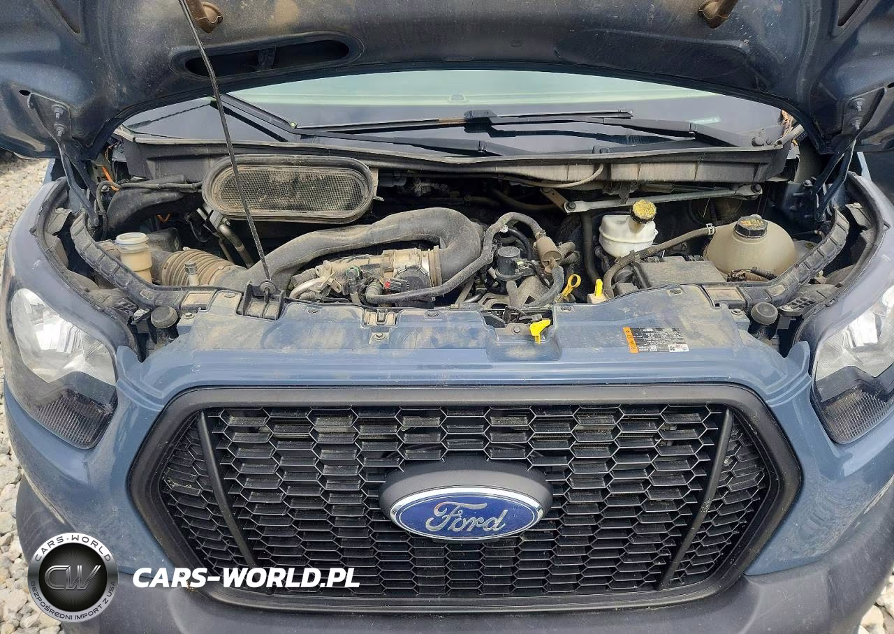 2021 Ford Transit Delivery Truck VIN:1FDDF6P8XMKA45306 - 12
