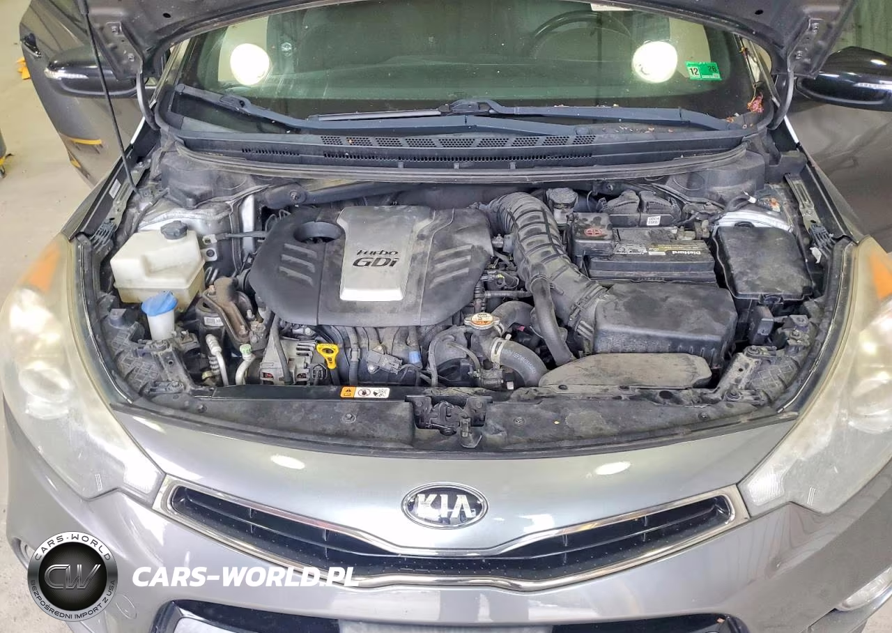 2015 Kia Forte Koup Sx VIN:KNAFZ6A31F5369857 - 11