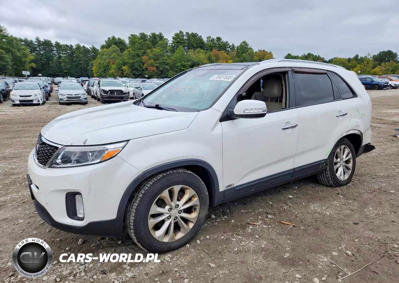 2014 Kia Sorento Ex VIN:5XYKUDA76EG432898 - 1