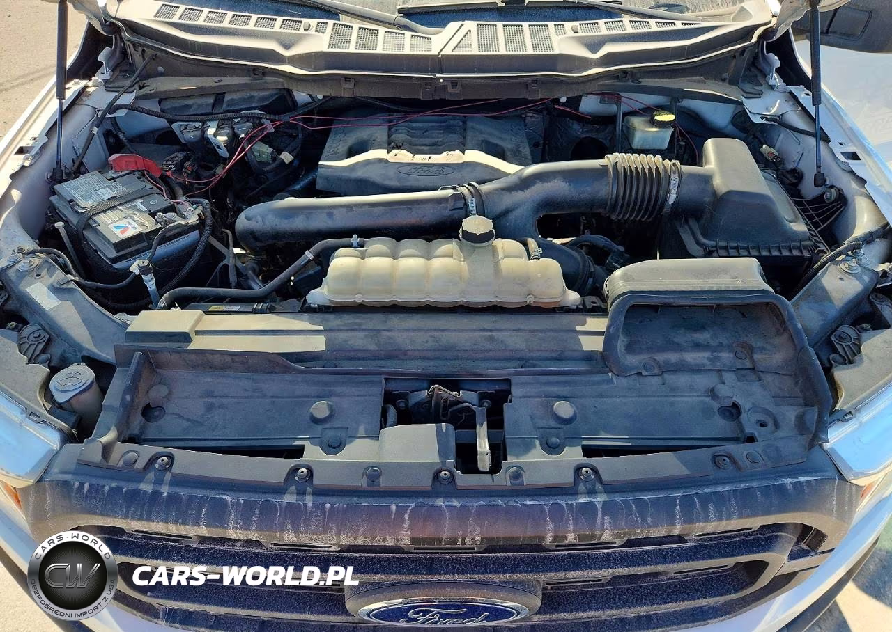 2021 Ford F150 Supercrew VIN:1FTFW1E82MFA34490 - 11