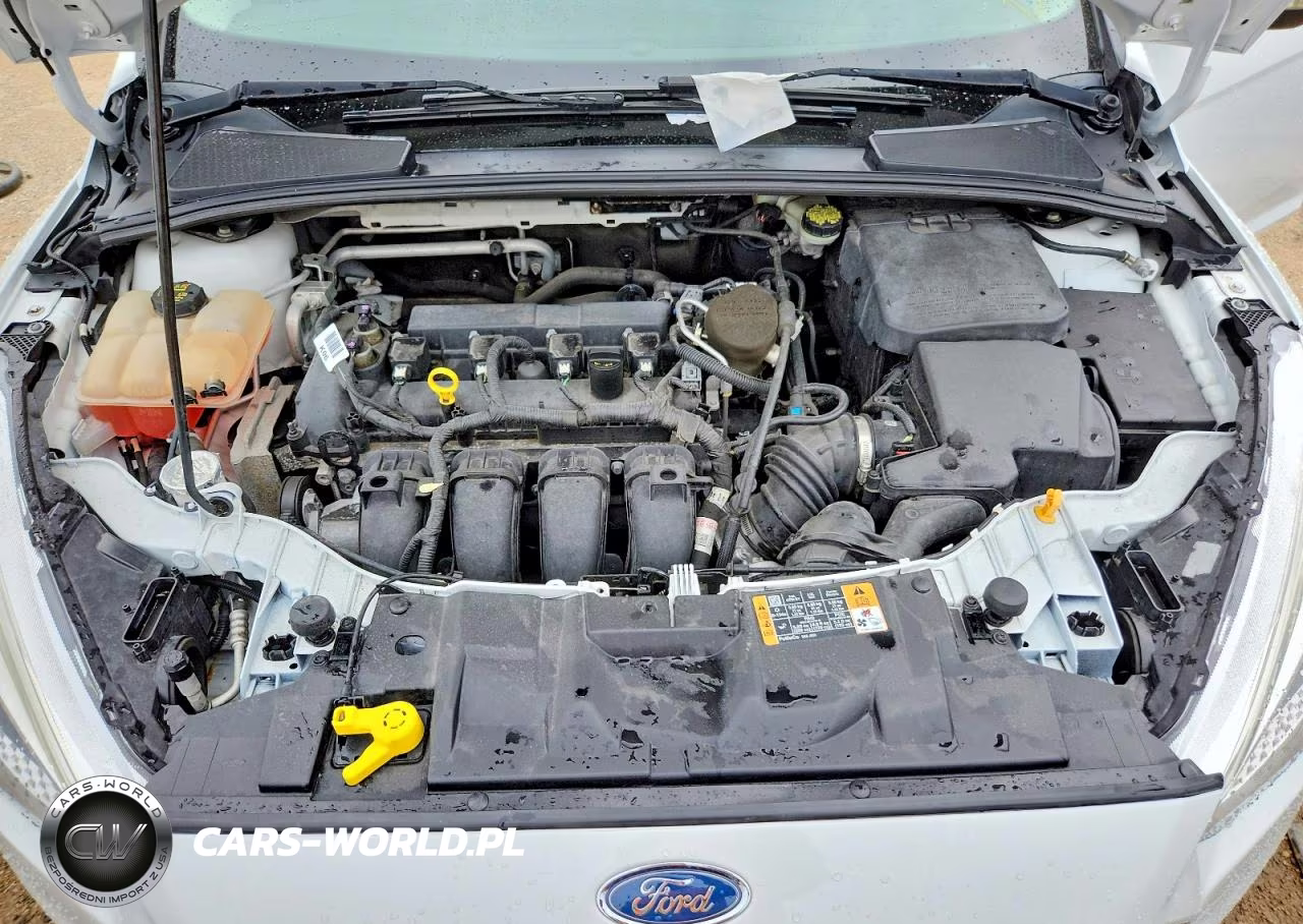 2016 Ford Focus Se VIN:1FADP3K2XGL229121 - 11