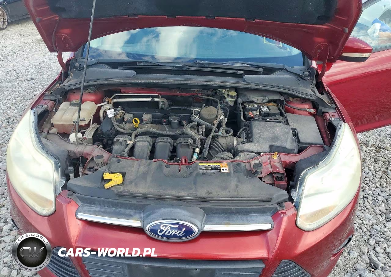 2014 Ford Focus Se VIN:1FADP3F29EL202094 - 11