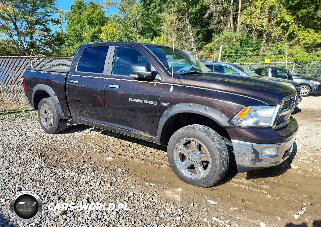 2011 Dodge Ram 1500 VIN:1D7RV1CTXBS546337 - 4