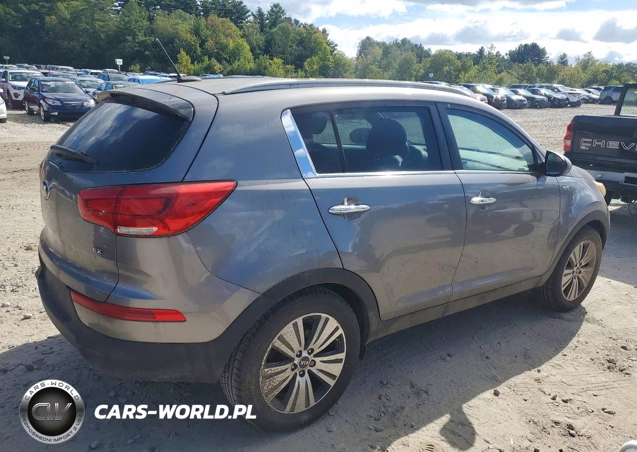2016 Kia Sportage Ex VIN:KNDPCCAC5G7802710 - 3