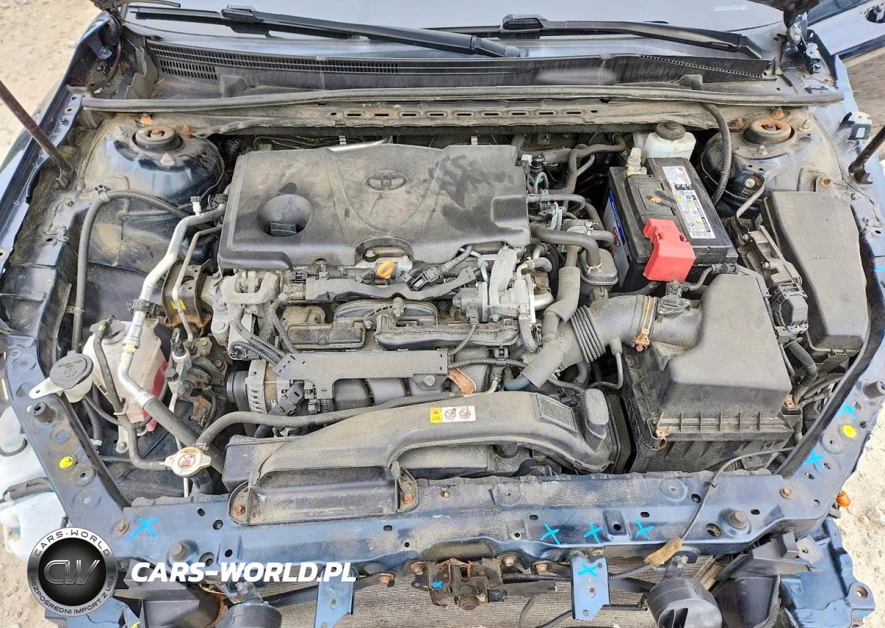2019 Toyota Camry Le VIN:4T1B11HK4KU731684 - 11