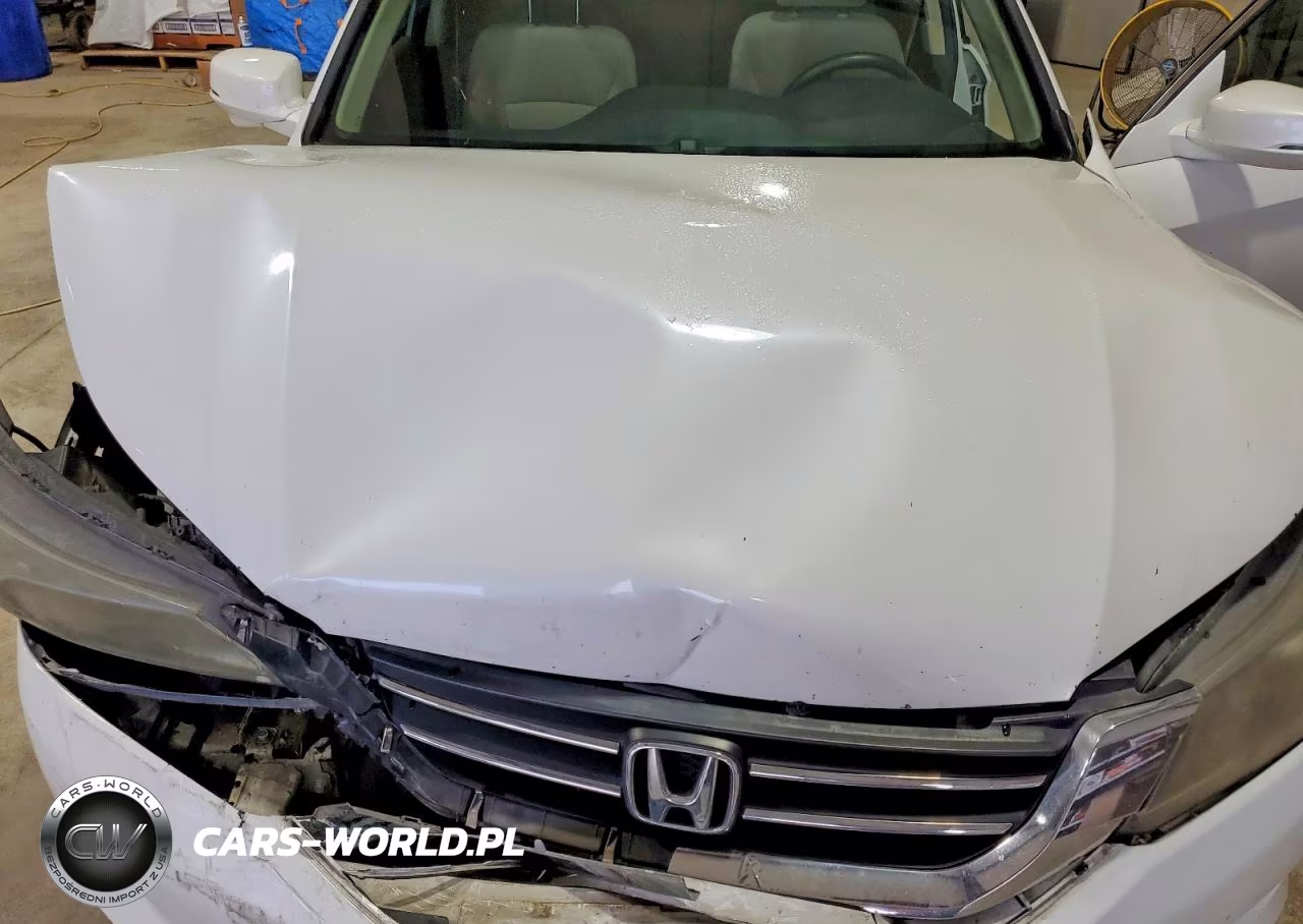 2013 Honda Accord Ex VIN:1HGCR2F76DA214317 - 11