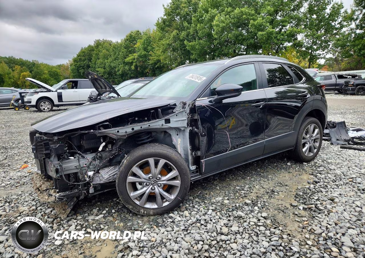 2025 Mazda Cx-30 Preferred VIN:3MVDMBCM0SM753462 - 1