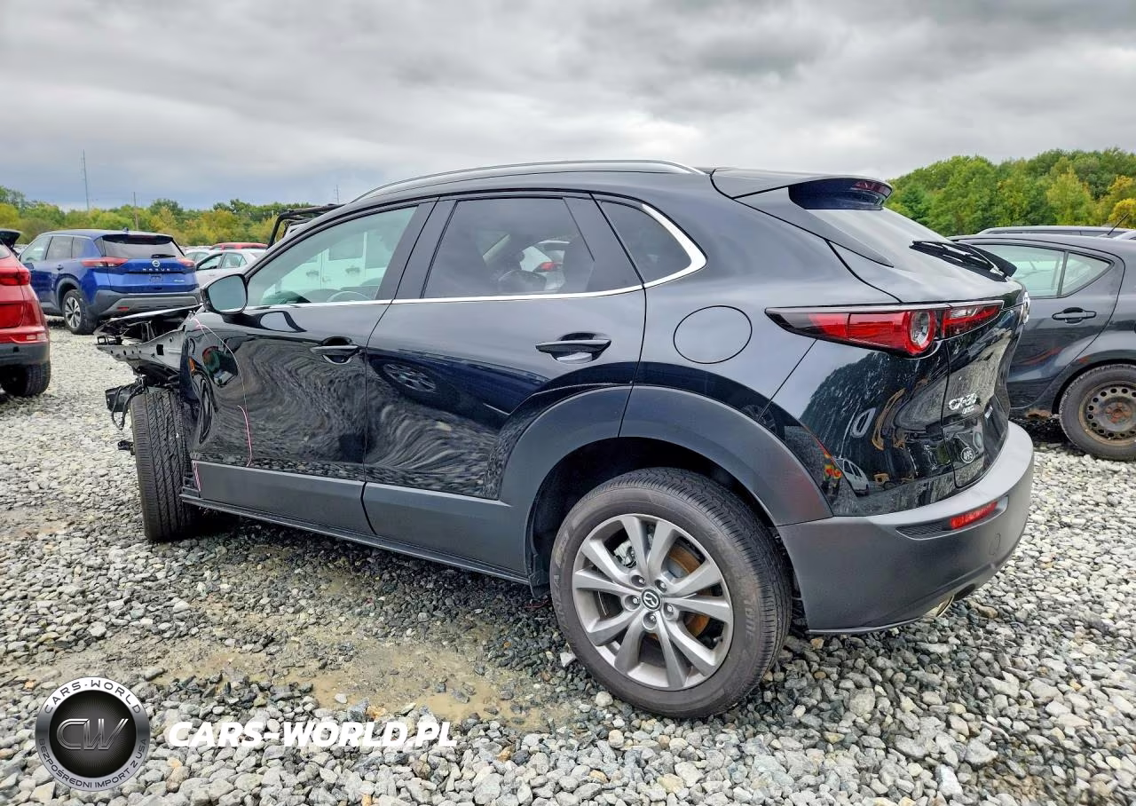 2025 Mazda Cx-30 Preferred VIN:3MVDMBCM0SM753462 - 2