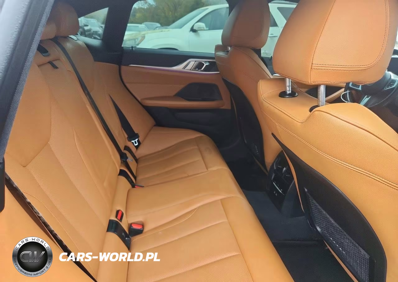 2023 BMW 430Xi Gran Coupe VIN:WBA73AV01PFP52251 - 10