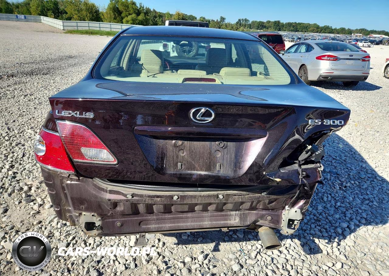 2003 Lexus Es 300 VIN:JTHBF30G530132471 - 6