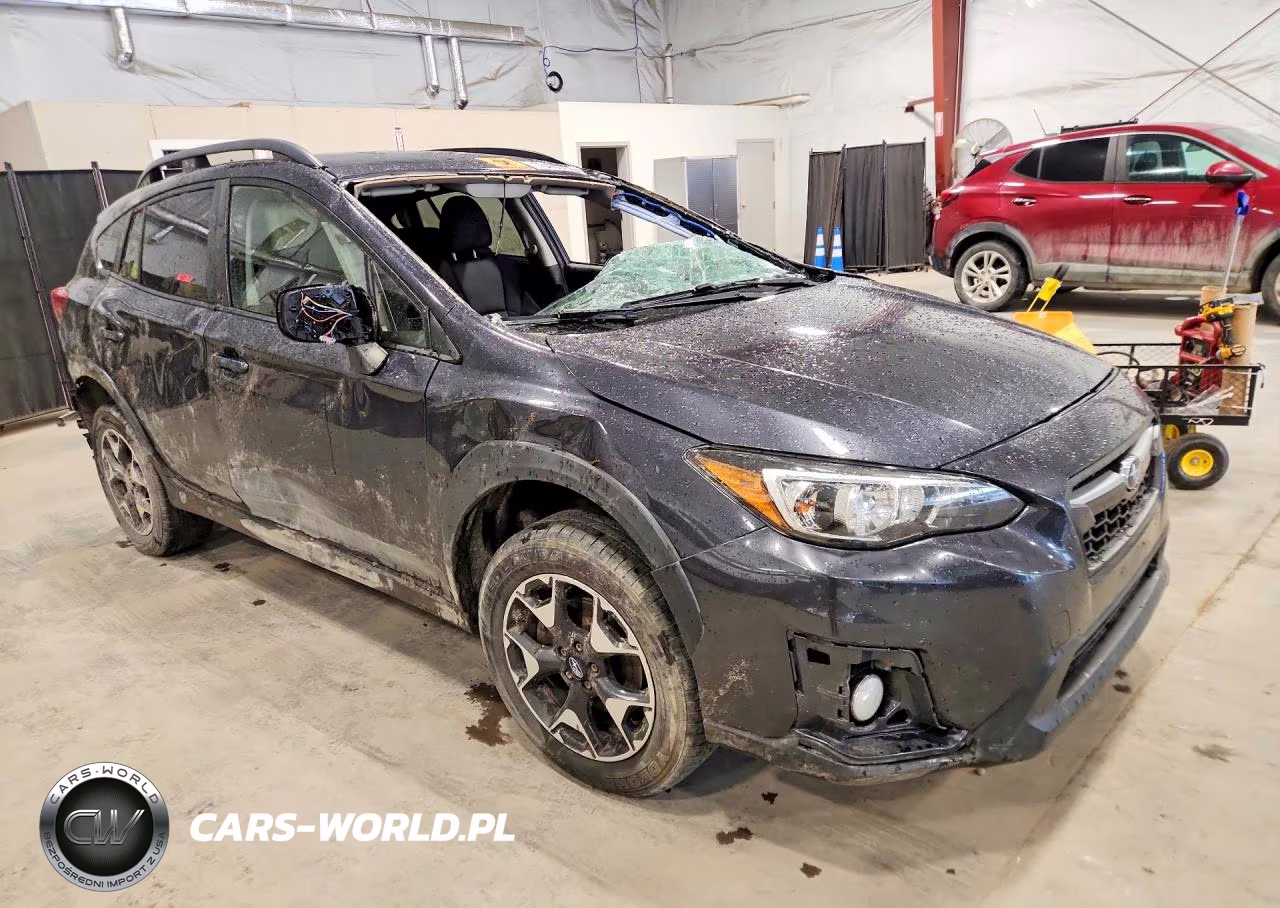 2019 Subaru Crosstrek Premium VIN:JF2GTACC0K8305926 - 4