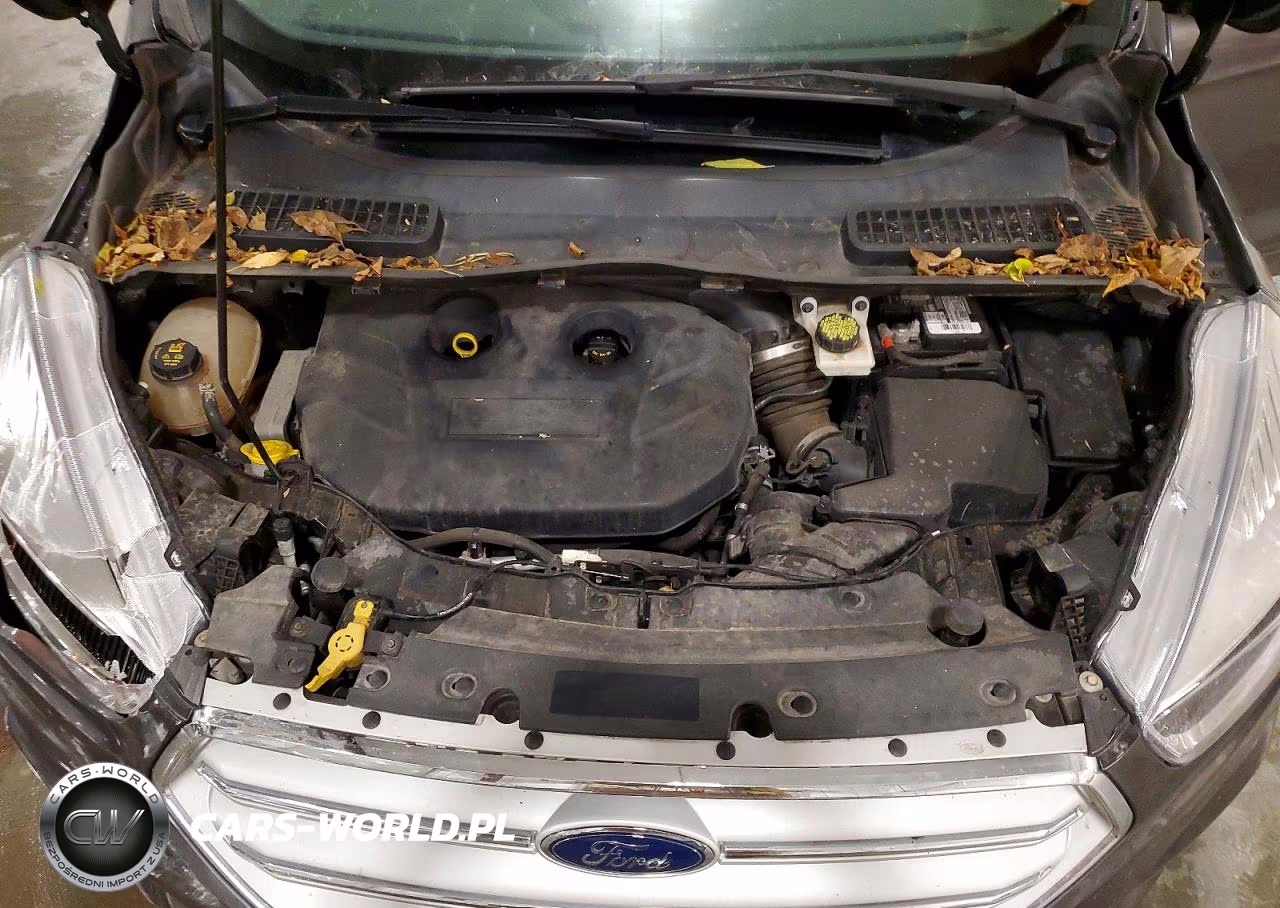 2017 Ford Escape Se VIN:1FMCU9G97HUB82709 - 12