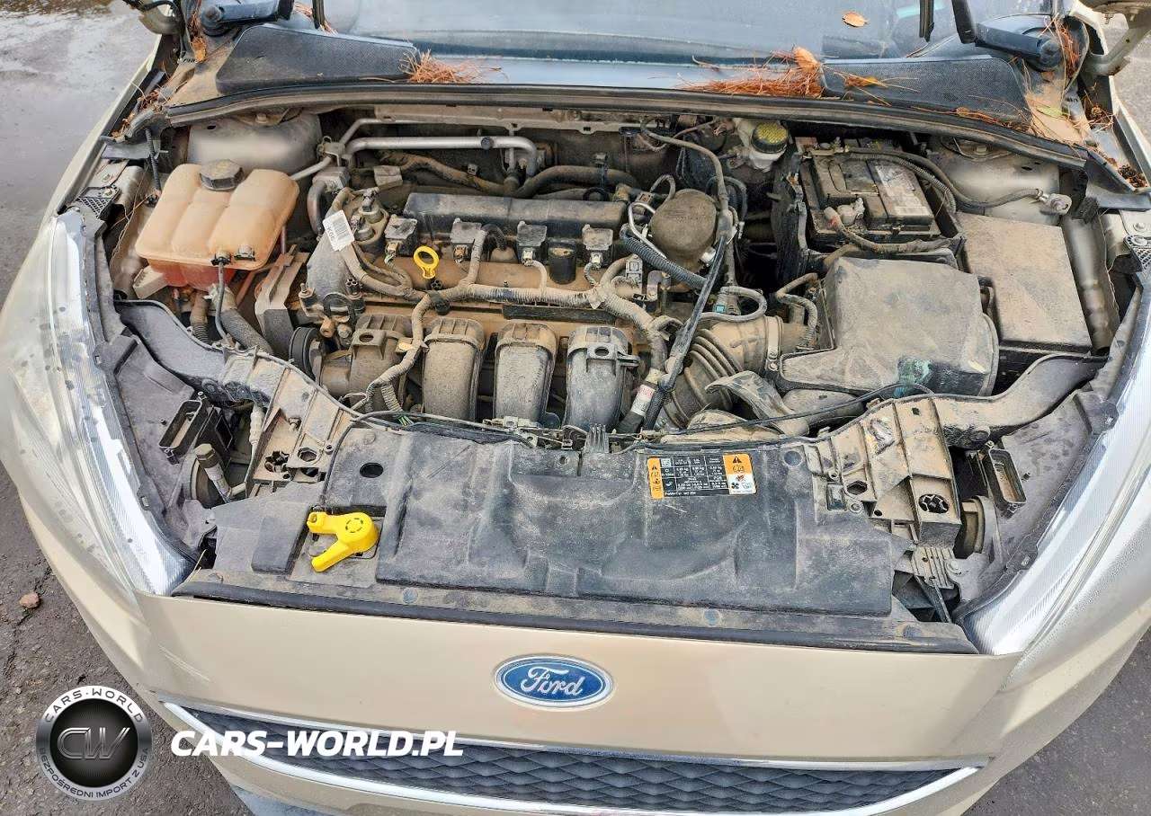 2015 Ford Focus Se VIN:1FADP3F25FL287212 - 11
