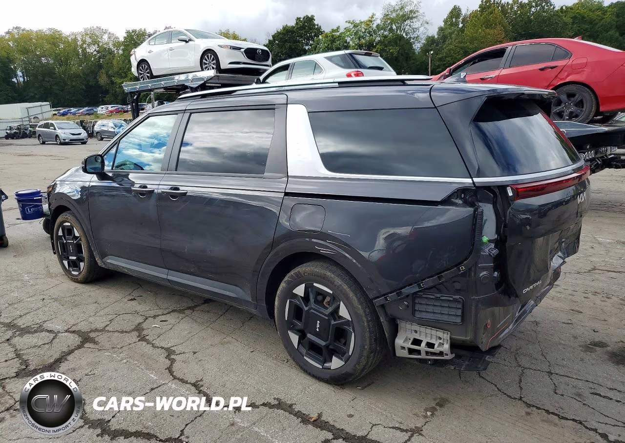 2025 Kia Carnival Ex VIN:KNDNC5K38S6505589 - 2