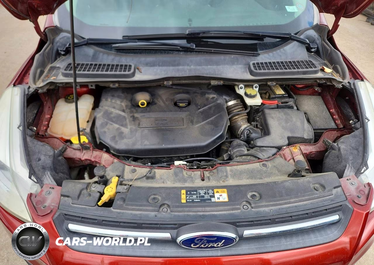 2014 Ford Escape Se VIN:1FMCU0G91EUD85053 - 11