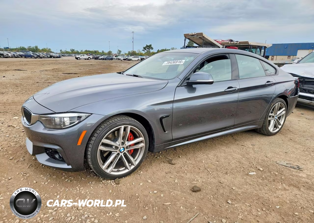 2019 BMW 430Xi Gran Coupe VIN:WBA4J3C59KBL05251 - 1