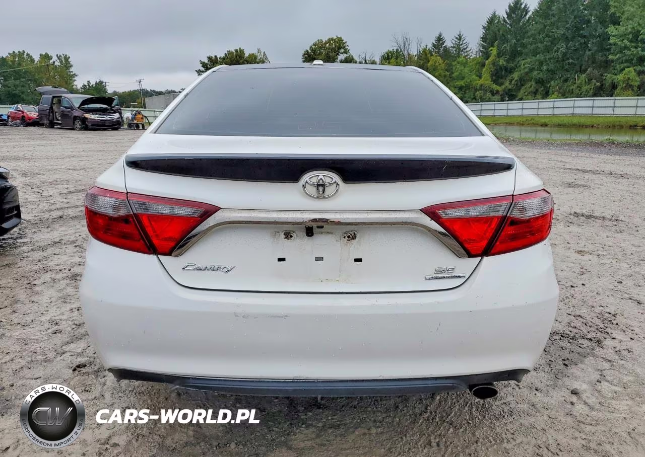 2016 Toyota Camry Special Edition VIN:4T1BF1FK9GU194919 - 6