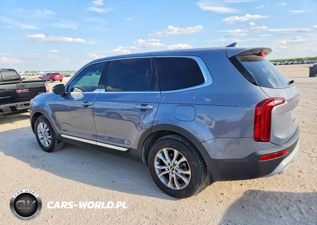 2020 Kia Telluride Lx VIN:5XYP24HC3LG069911 - 2