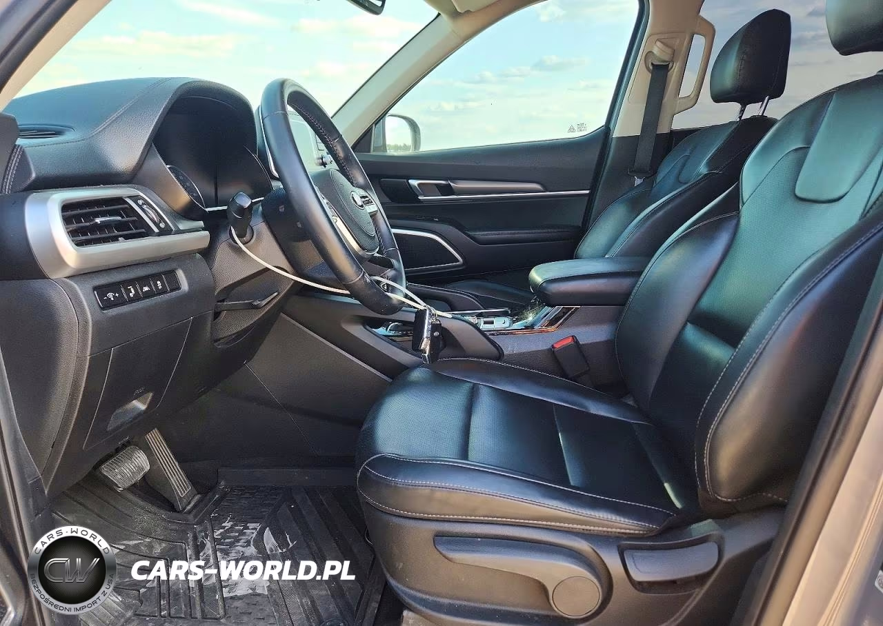 2020 Kia Telluride Lx VIN:5XYP24HC3LG069911 - 7