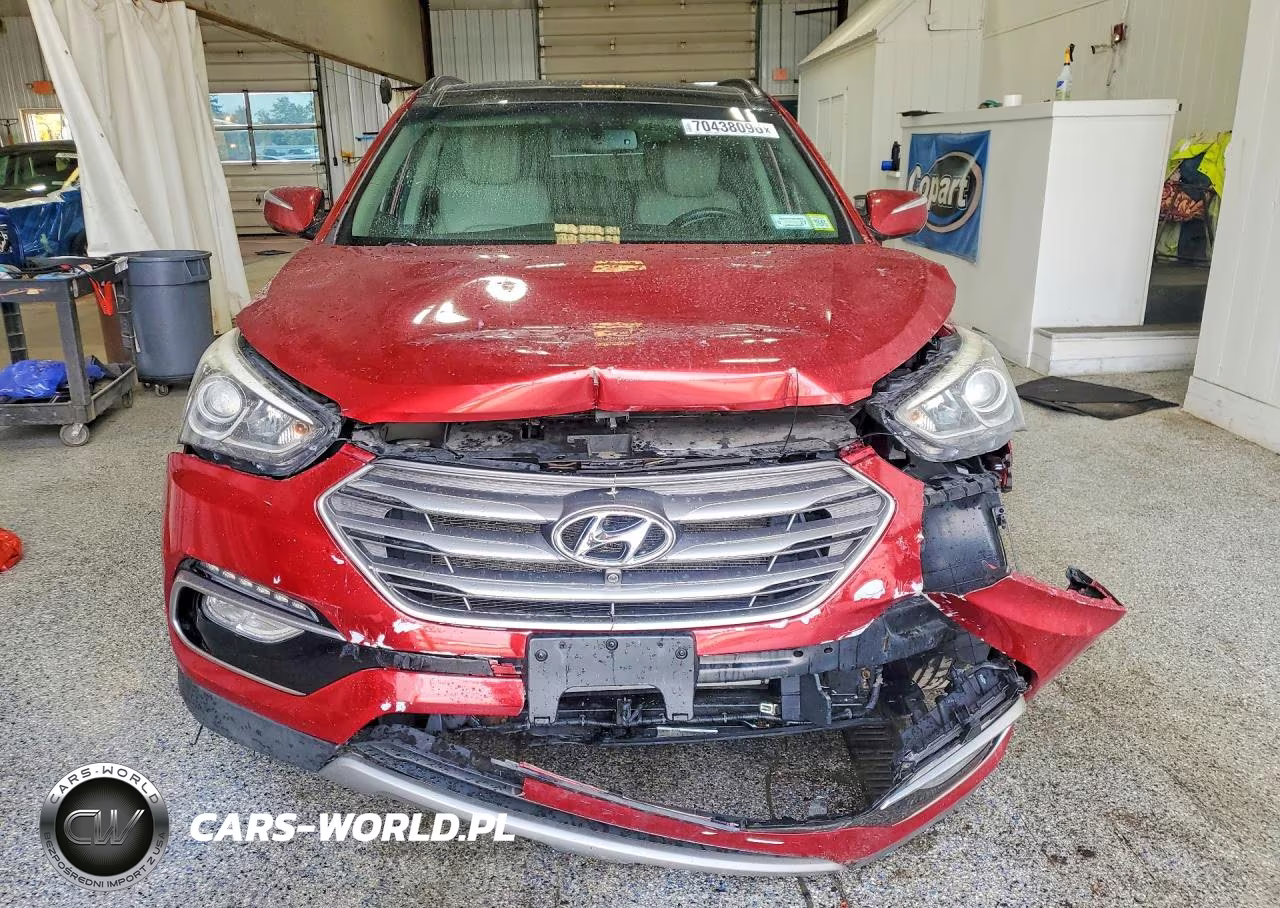 2017 Hyundai Santa Fe Sport 2.4L VIN:5XYZU3LB5HG424354 - 5