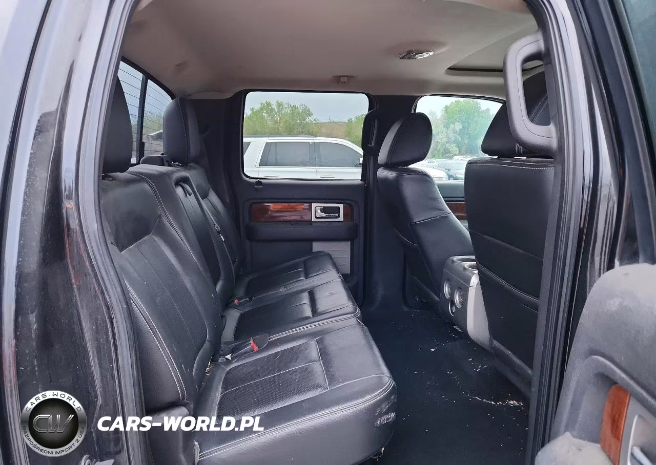 2010 Ford F150 Supercrew VIN:1FTFW1EV3AFC92745 - 10