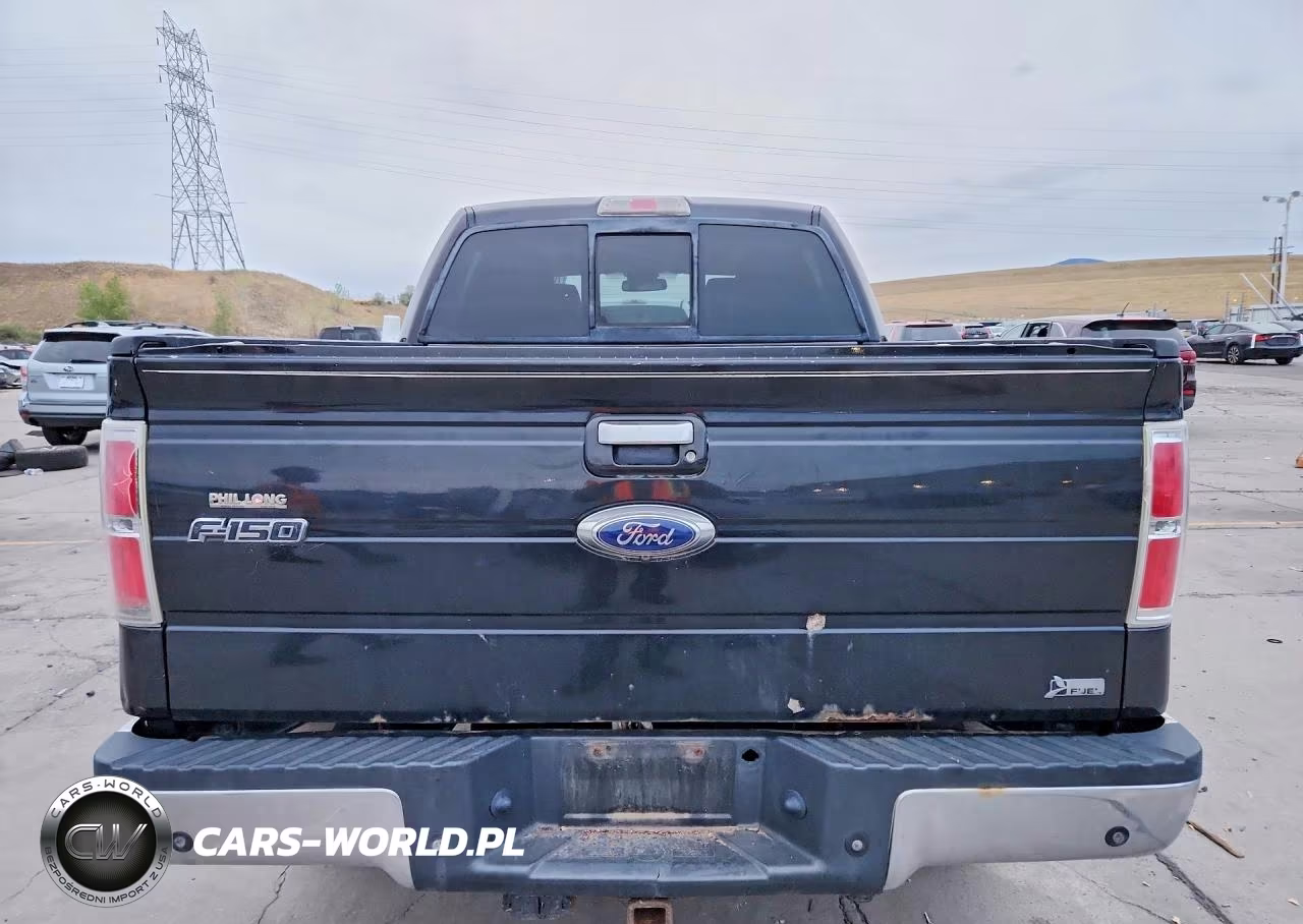 2010 Ford F150 Supercrew VIN:1FTFW1EV3AFC92745 - 6
