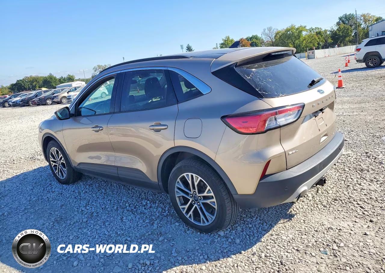 2021 Ford Escape Sel VIN:1FMCU9H63MUA54384 - 2