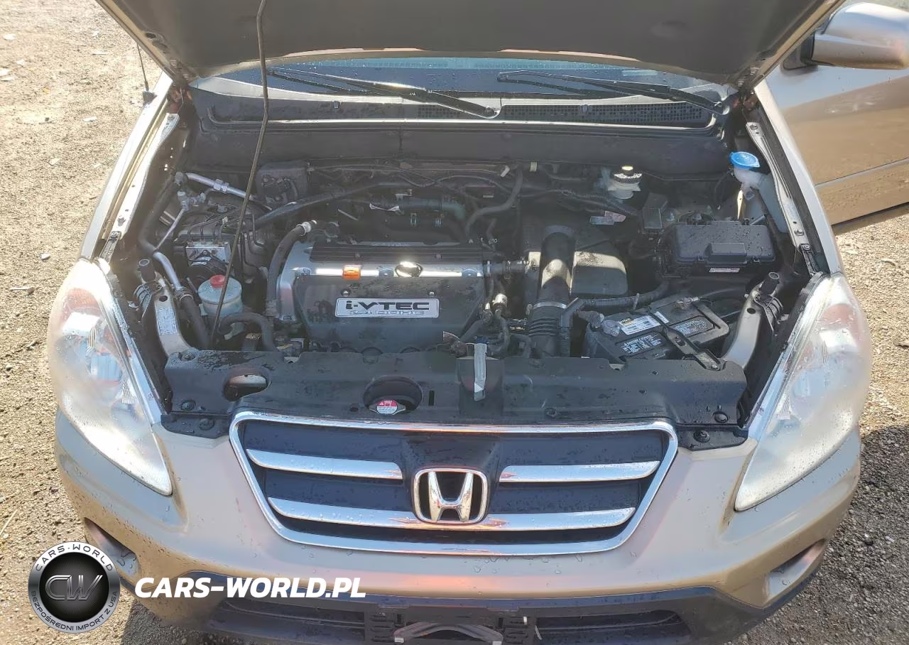 2006 Honda Cr-V Se VIN:SHSRD78996U408362 - 11