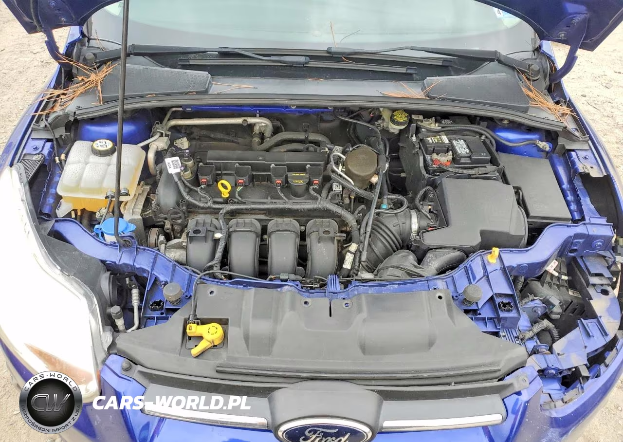 2014 Ford Focus Se VIN:1FADP3K29EL359775 - 11