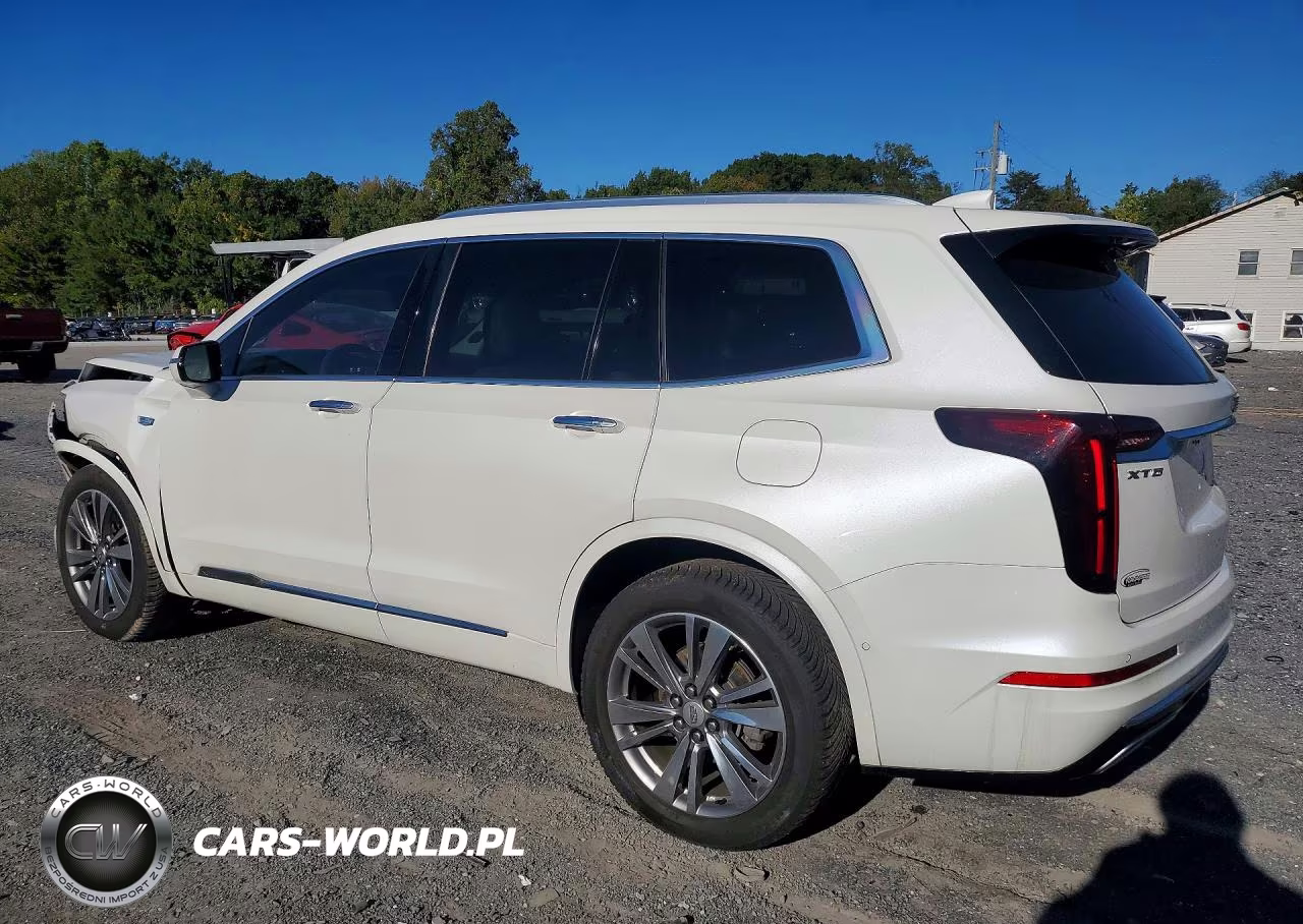 2021 Cadillac Xt6 Premium Luxury VIN:1GYKPCRS0MZ203217 - 2