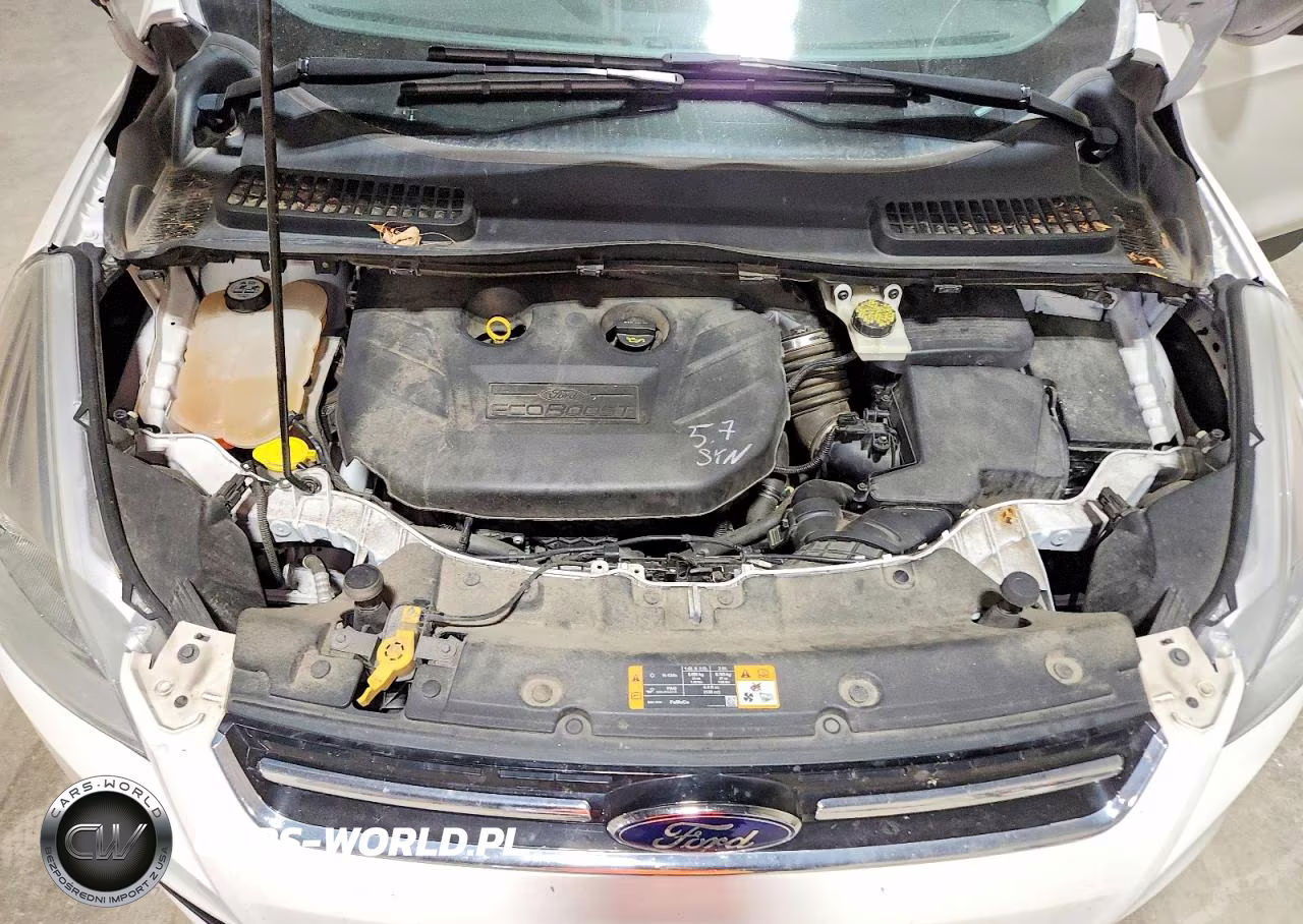 2013 Ford Escape Sel VIN:1FMCU9H98DUD78442 - 12